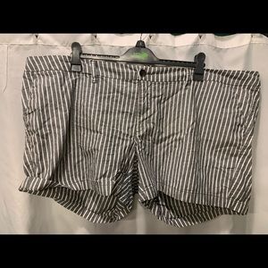 Pinstripe Gray Shorts